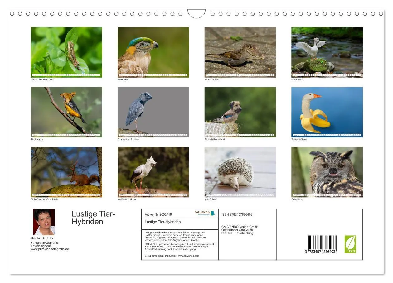 Bild: 9783457886403 | Lustige Tier-Hybriden (Wandkalender 2026 DIN A3 quer), CALVENDO...