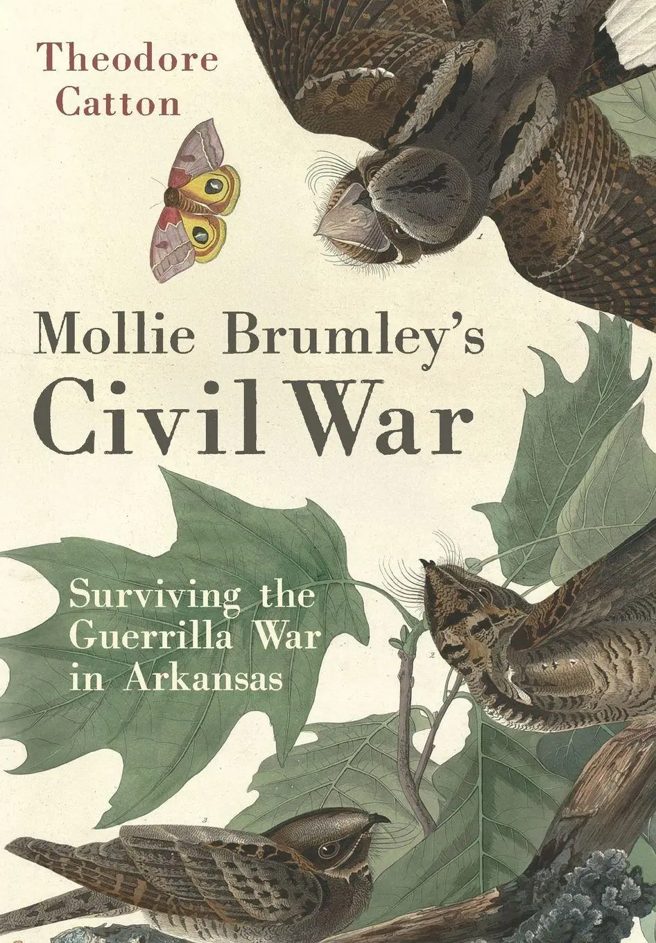 Cover: 9780806196503 | Mollie Brumley's Civil War | Surviving the Guerrilla War in Arkansas