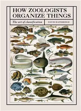 Cover: 9781836006503 | How Zoologists Organize Things | The art of classification | Buch