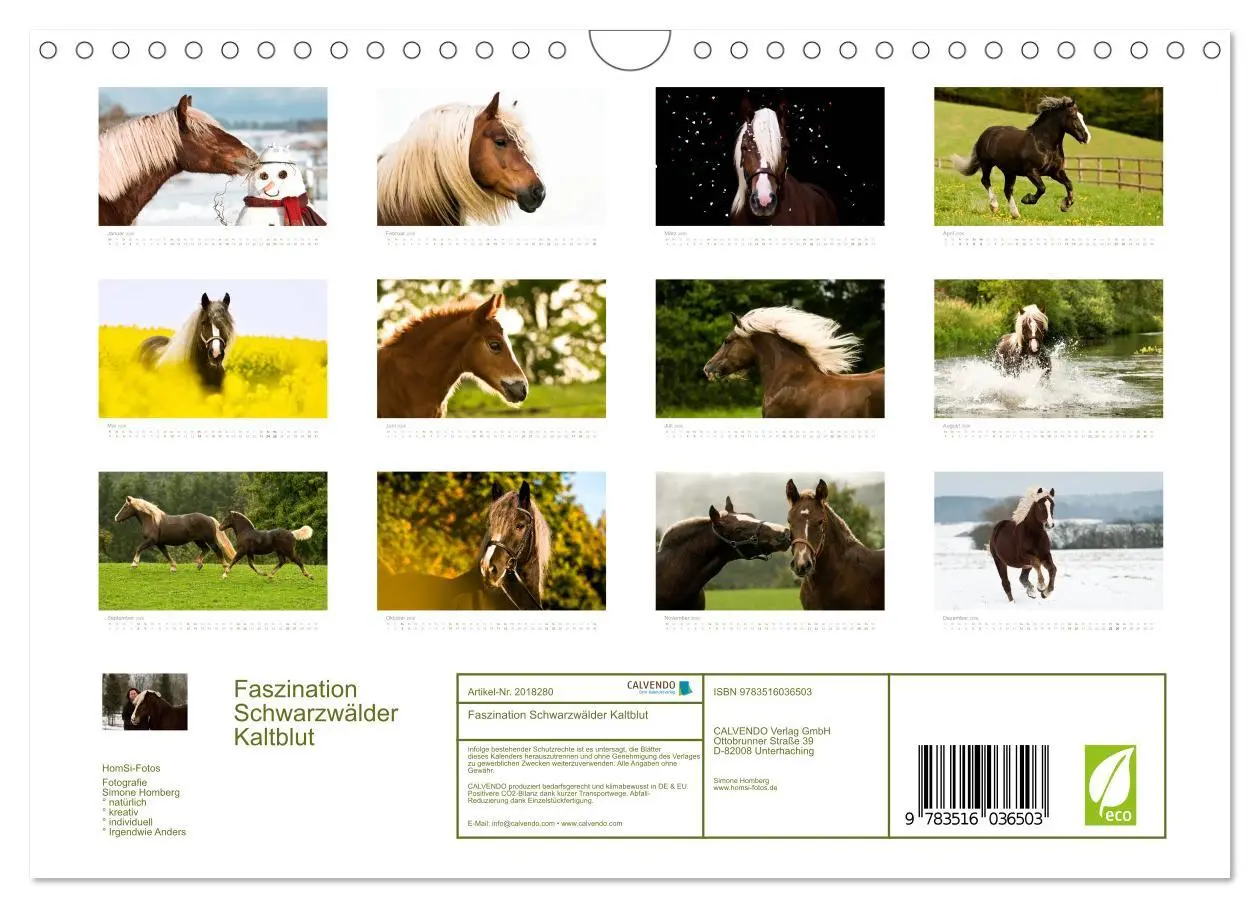 Bild: 9783516036503 | Faszination Schwarzwälder Kaltblut (Wandkalender 2026 DIN A4 quer),...