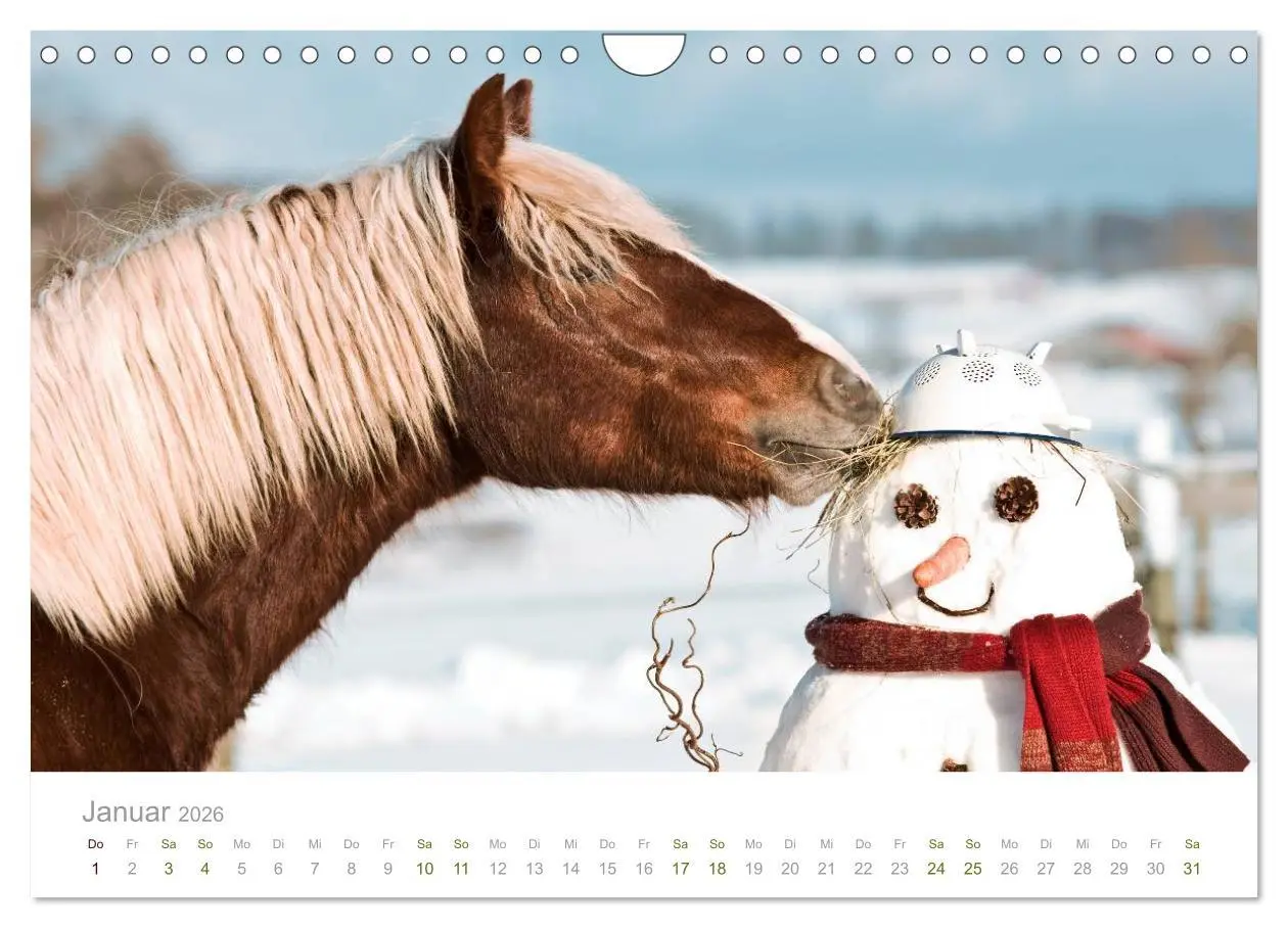 Bild: 9783516036503 | Faszination Schwarzwälder Kaltblut (Wandkalender 2026 DIN A4 quer),...