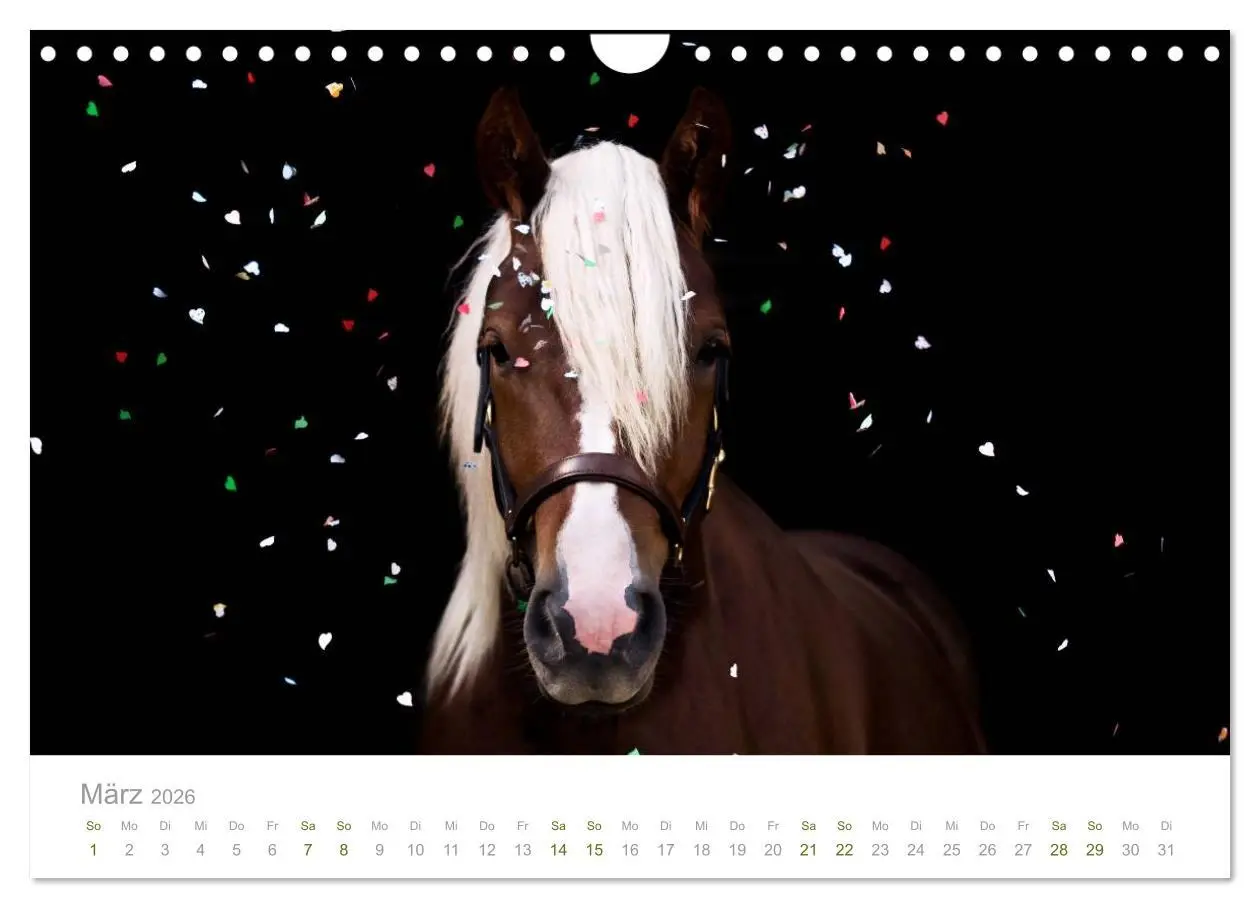 Bild: 9783516036503 | Faszination Schwarzwälder Kaltblut (Wandkalender 2026 DIN A4 quer),...