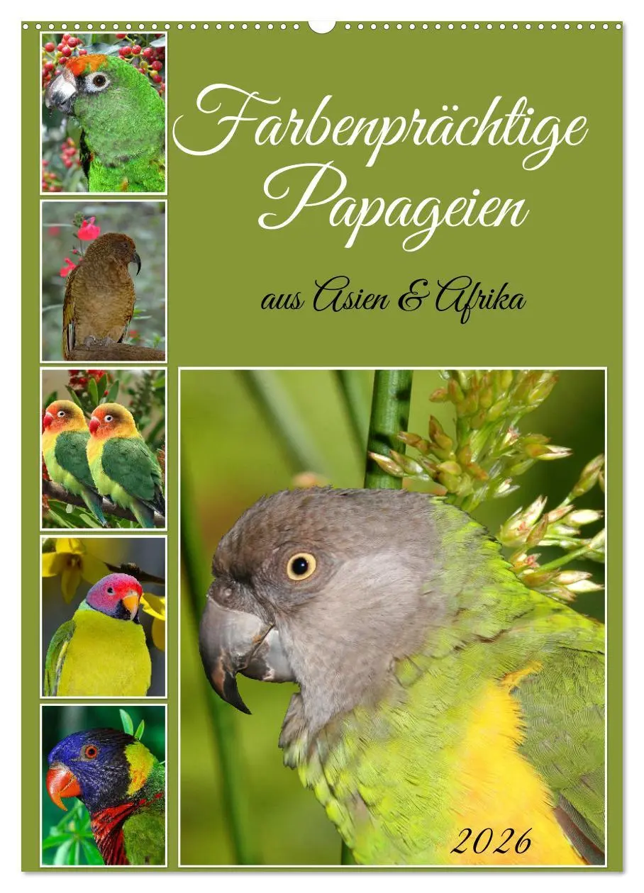 Cover: 9783516346503 | Farbenprächtige Papageien aus Asien und Afrika (Wandkalender 2026...