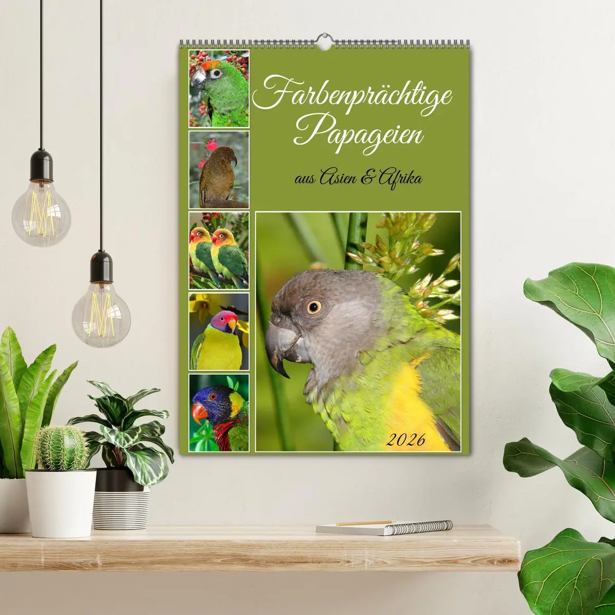 Bild: 9783516346503 | Farbenprächtige Papageien aus Asien und Afrika (Wandkalender 2026...