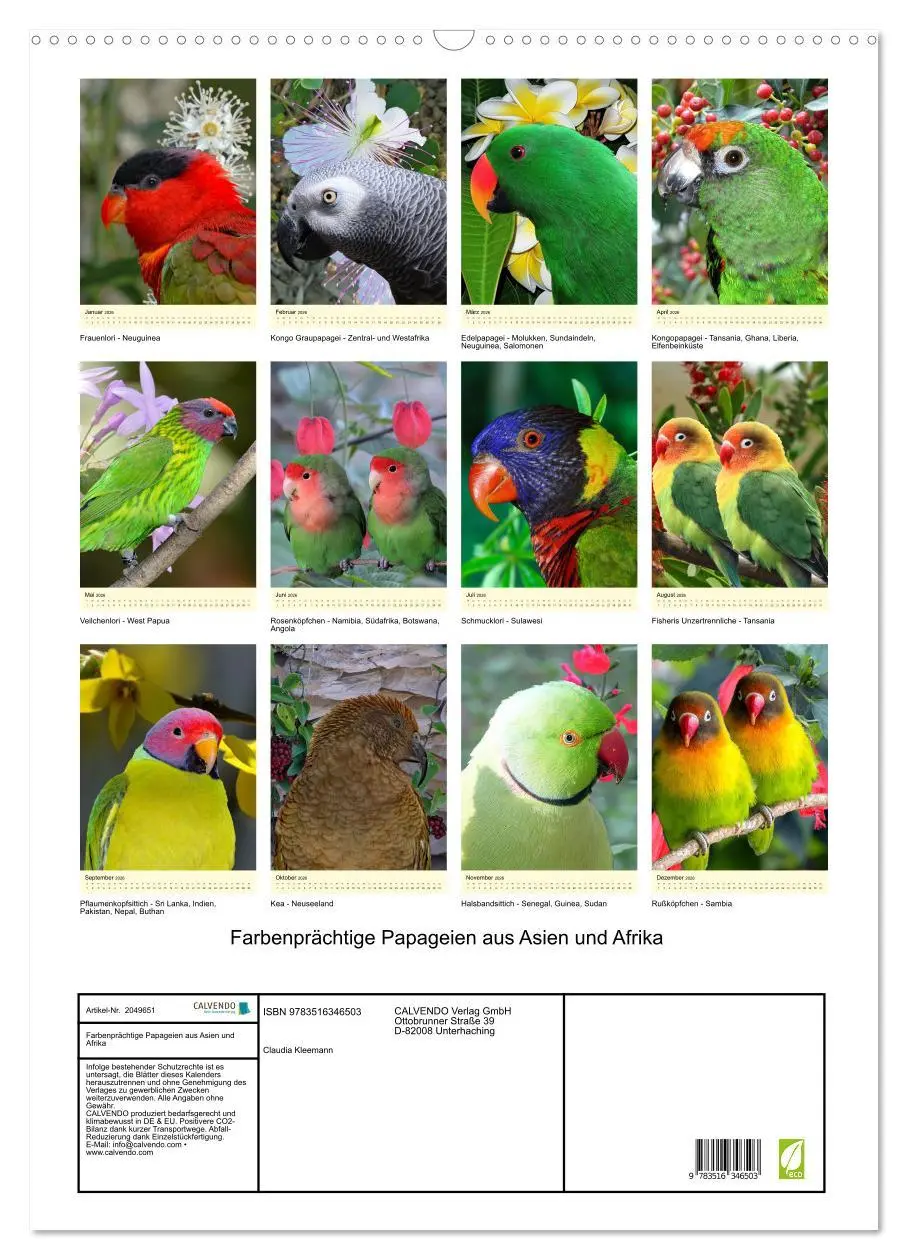 Bild: 9783516346503 | Farbenprächtige Papageien aus Asien und Afrika (Wandkalender 2026...