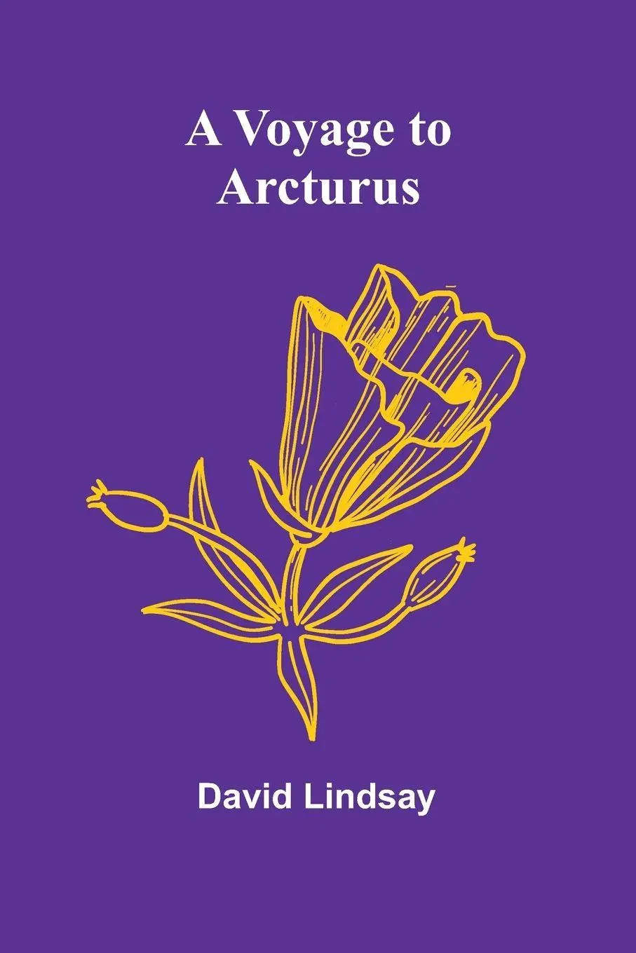 Cover: 9789364736503 | A Voyage to Arcturus | David Lindsay | Taschenbuch | Englisch | 2024