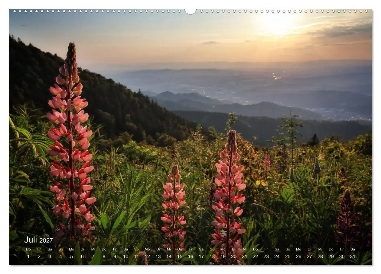 Bild: 9783569016903 | Faszination Schwarzwald (Wandkalender 2027 DIN A2 quer), CALVENDO...