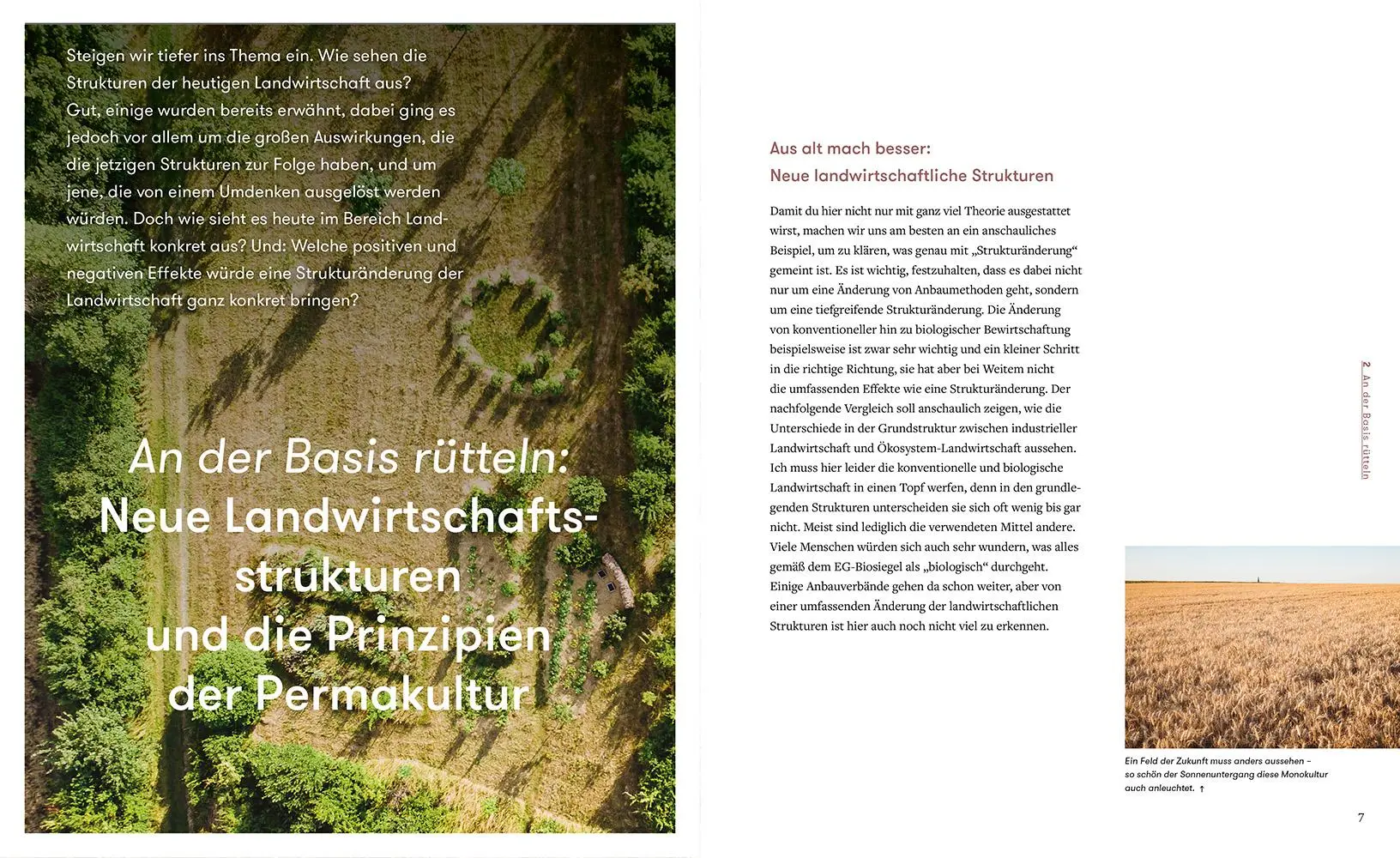 Bild: 9783706626903 | Letzter Ausweg: Permakultur | Jonas Gampe | Buch | 240 S. | Deutsch