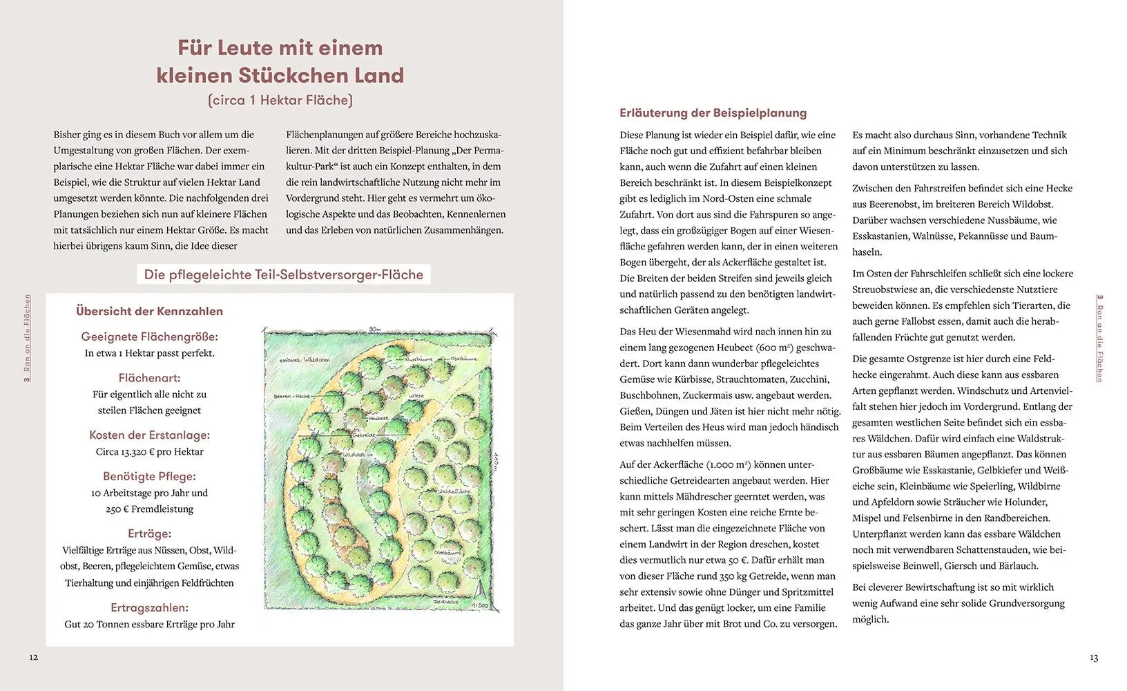 Bild: 9783706626903 | Letzter Ausweg: Permakultur | Jonas Gampe | Buch | 240 S. | Deutsch