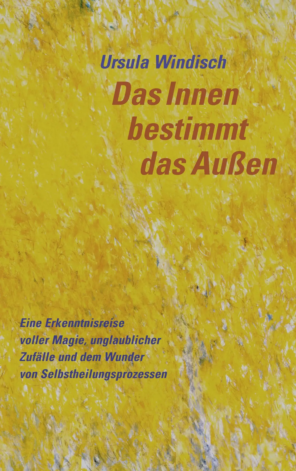 Cover: 9783837096903 | Das Innen bestimmt das Außen | Ursula Windisch | Taschenbuch | 168 S.