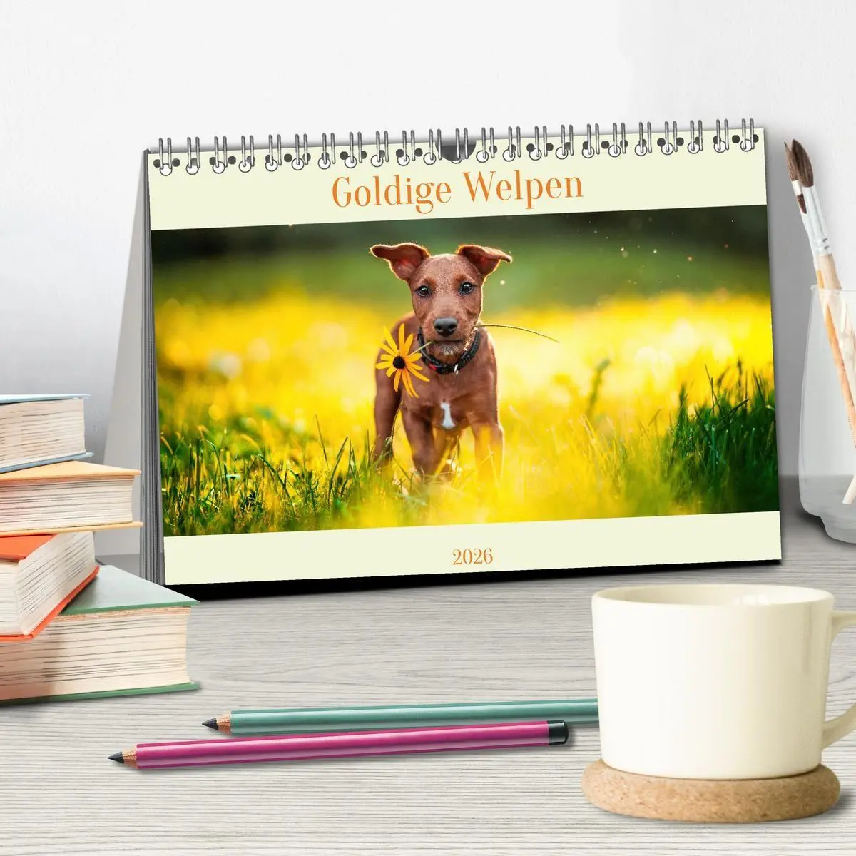 Bild: 9783457347003 | Pfotenblitzers Goldige Welpen (Tischkalender 2026 DIN A5 quer),...