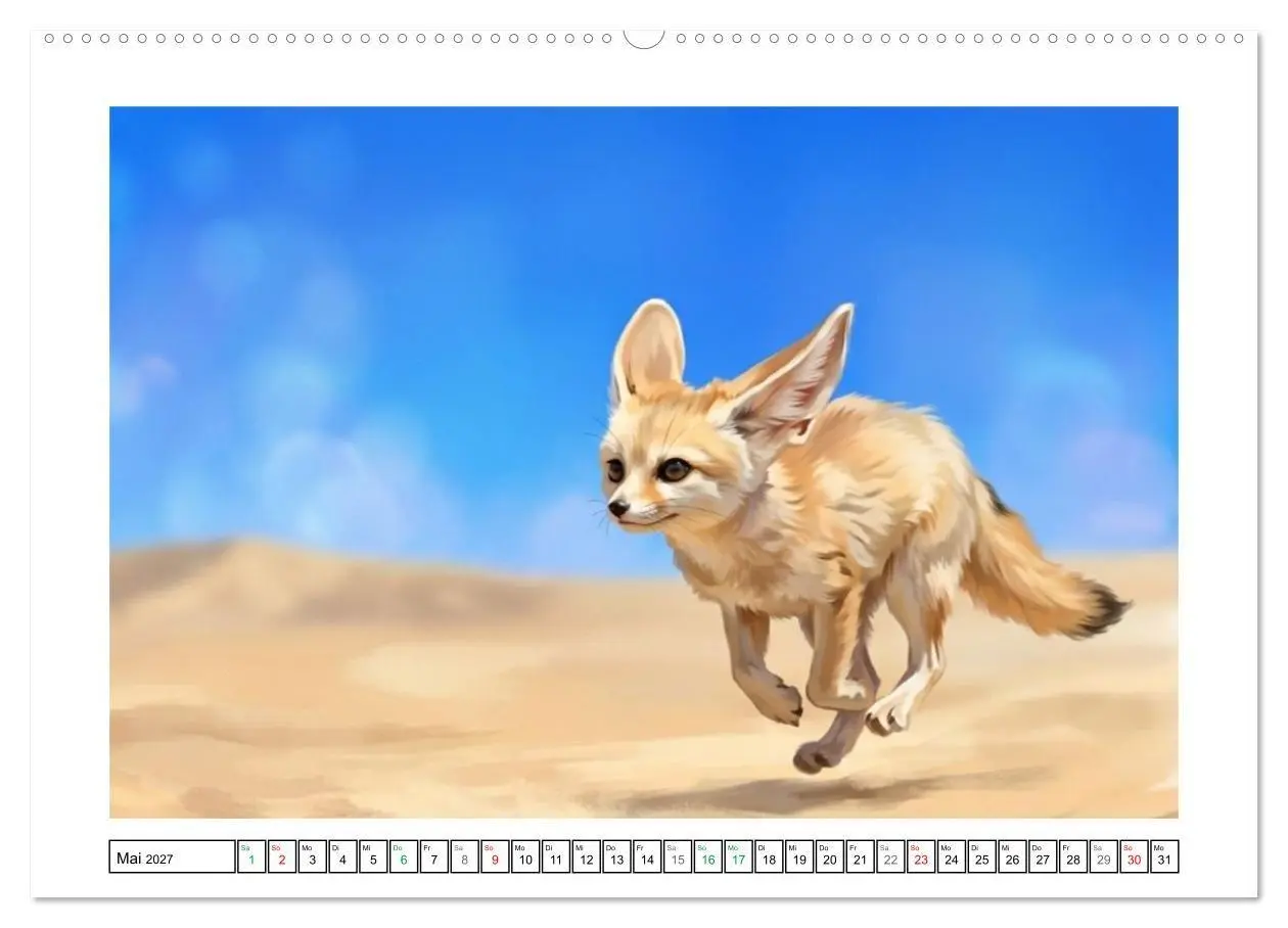 Bild: 9783516817003 | Fenneks - Neugierige Momente in der Wüste (hochwertiger Premium...