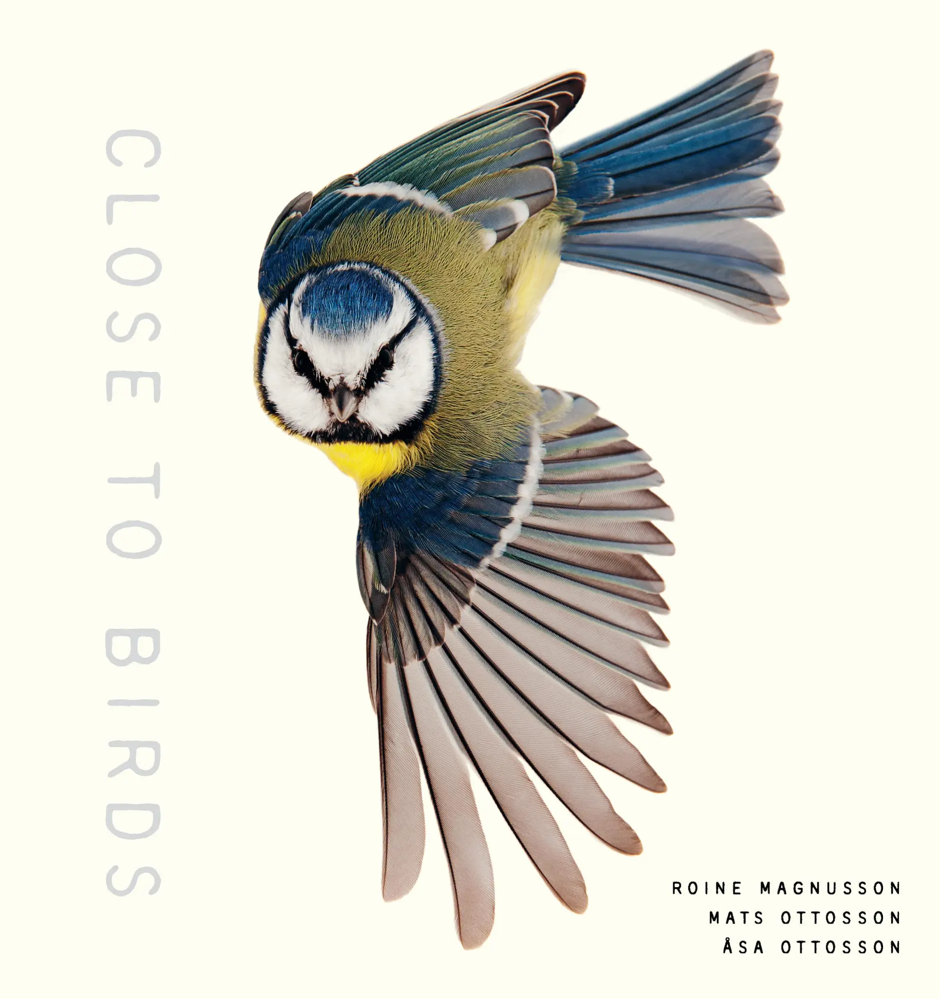 Cover: 9781611807103 | Close to Birds: An Intimate Look at Our Feathered Friends | Buch