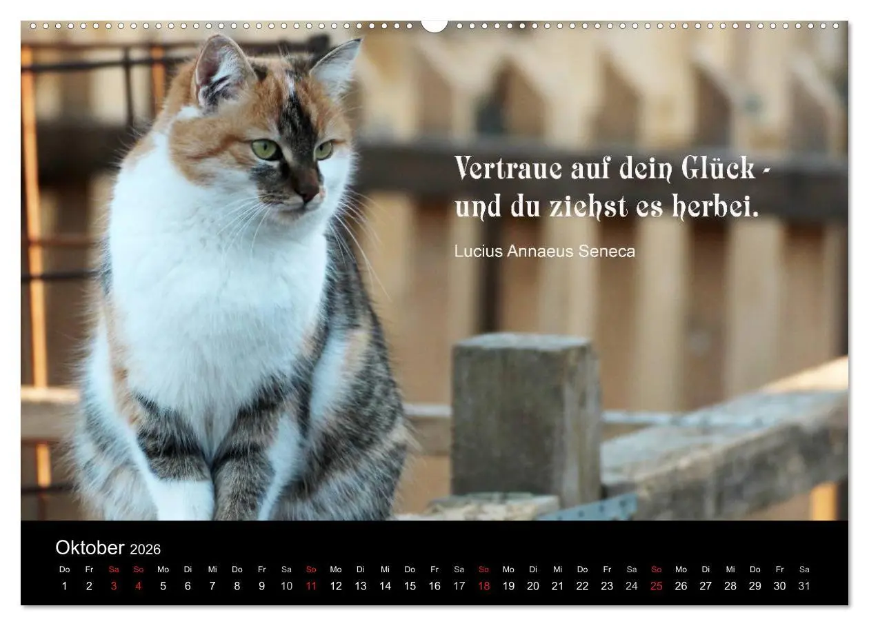 Bild: 9783516117103 | Glückskatze - Mit Zitaten zum Thema Glück (Wandkalender 2026 DIN A2...
