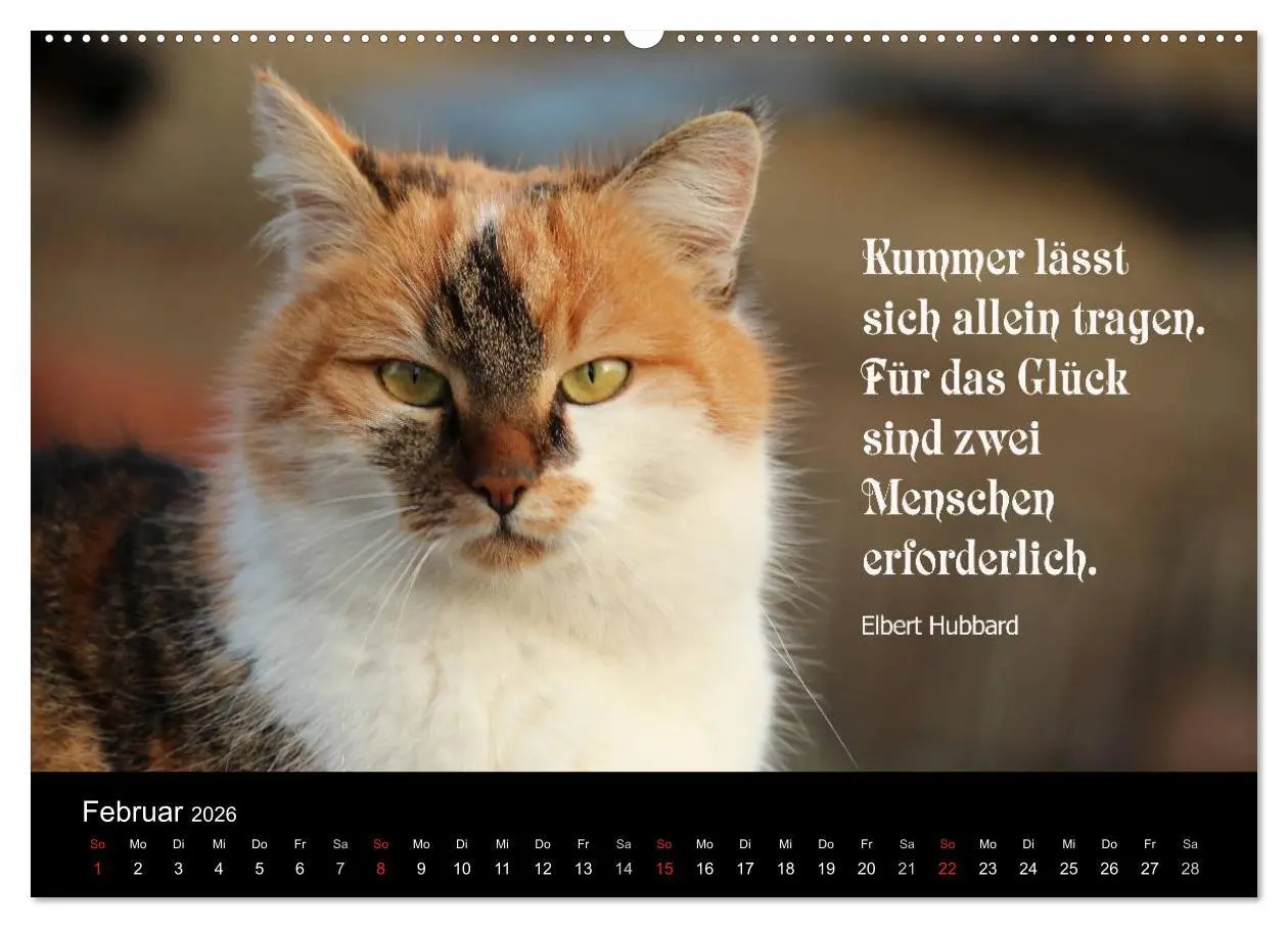 Bild: 9783516117103 | Glückskatze - Mit Zitaten zum Thema Glück (Wandkalender 2026 DIN A2...