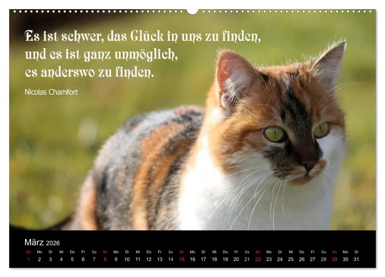 Bild: 9783516117103 | Glückskatze - Mit Zitaten zum Thema Glück (Wandkalender 2026 DIN A2...