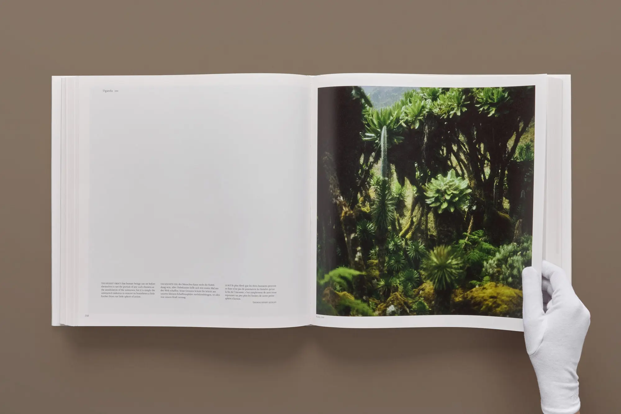Bild: 9783754407103 | Darren Almond | Fullmoon | Darren Almond | Buch | 564 S. | Deutsch