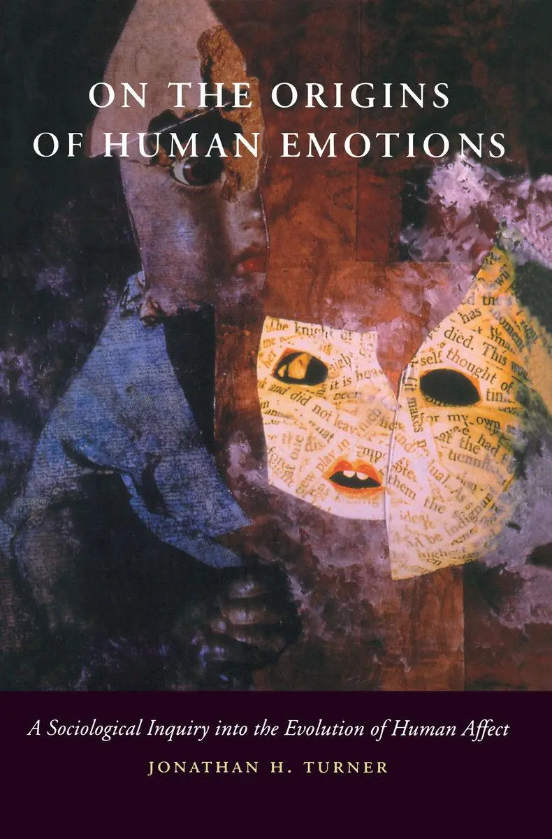 Cover: 9780804737203 | On the Origins of Human Emotions | Jonathan H Turner | Taschenbuch