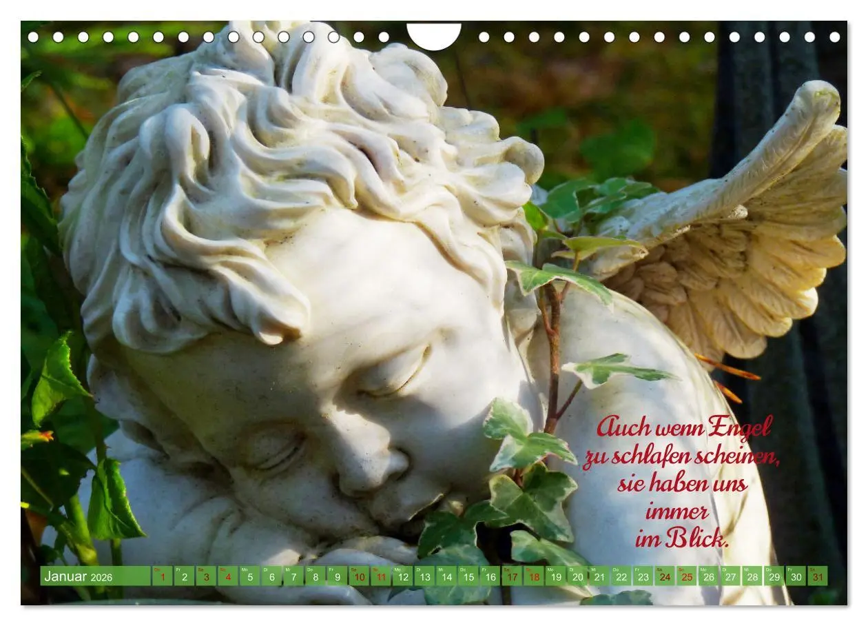 Bild: 9783457637203 | Geborgen unter Engelsflügeln (Wandkalender 2026 DIN A4 quer),...