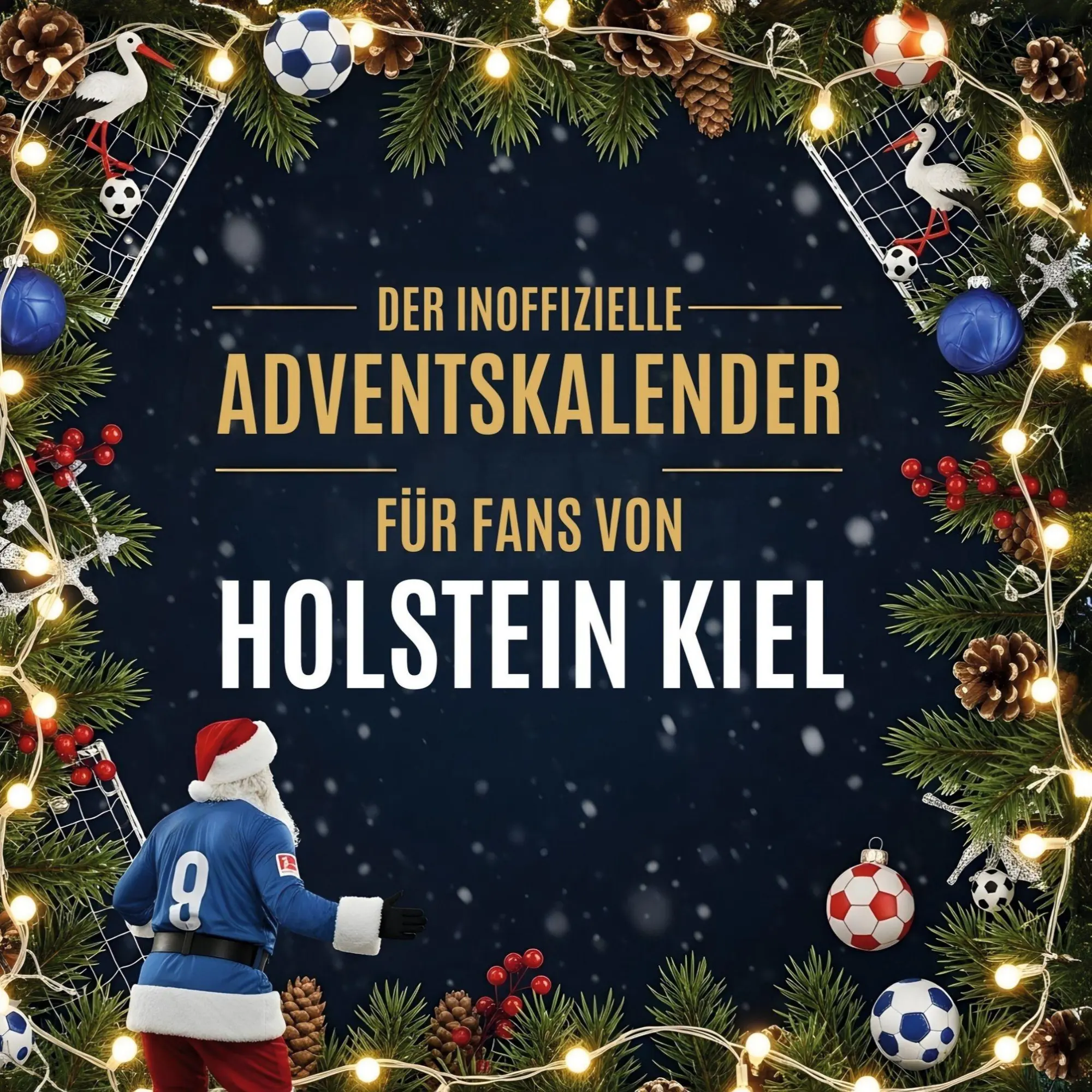 Cover: 9783695307203 | Der inoffizielle Adventskalender für Fans von Holstein Kiel | Lehmann