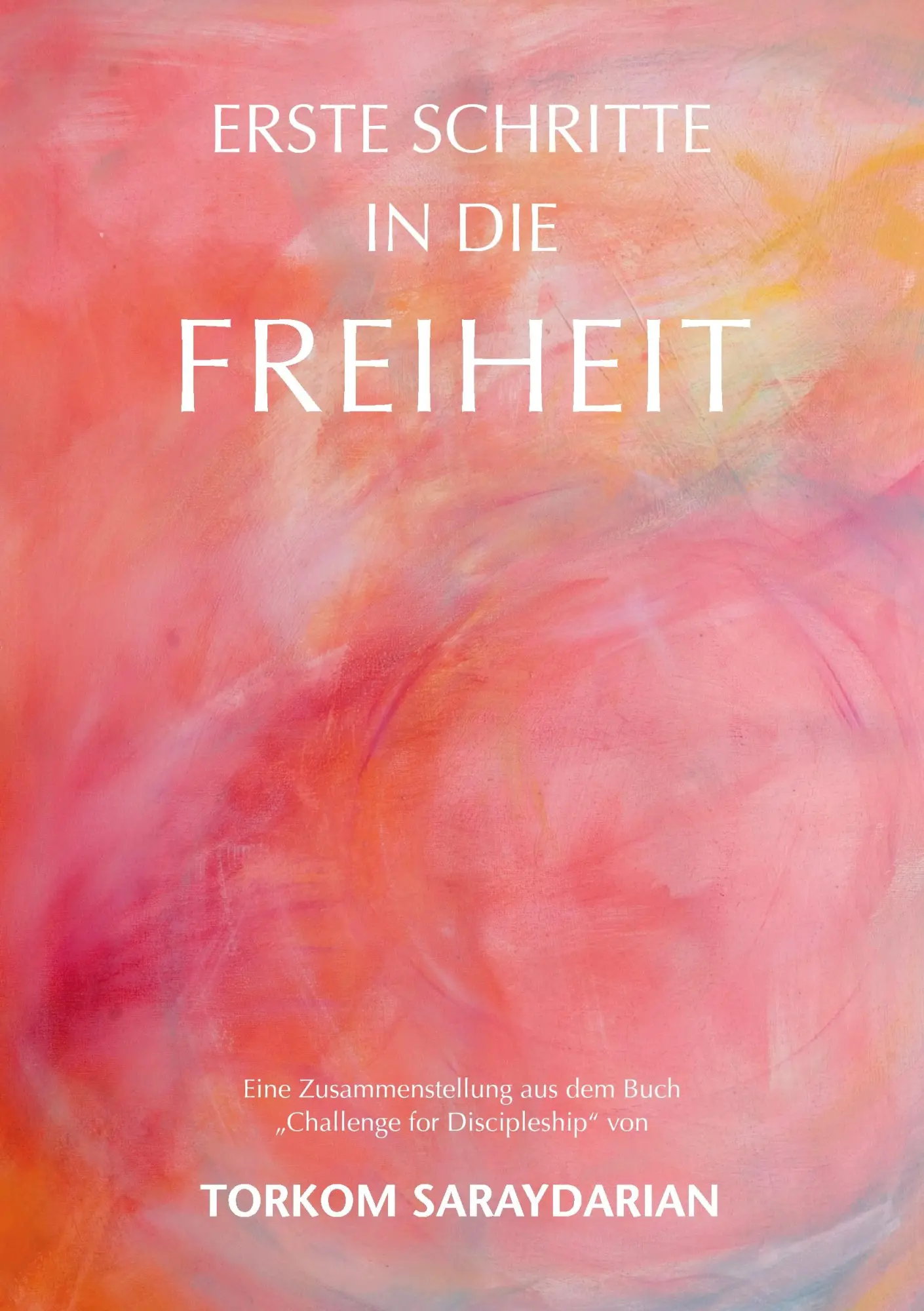 Cover: 9783738657203 | Erste Schritte in die Freiheit | Torkom Saraydarian | Taschenbuch