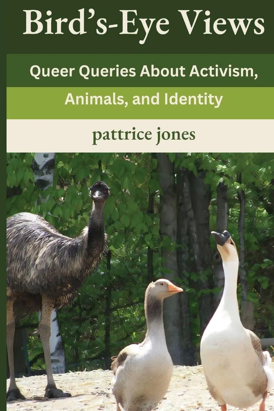 Cover: 9798989617203 | Bird's-Eye Views | Queer Queries About Activism, Animals, and Identity