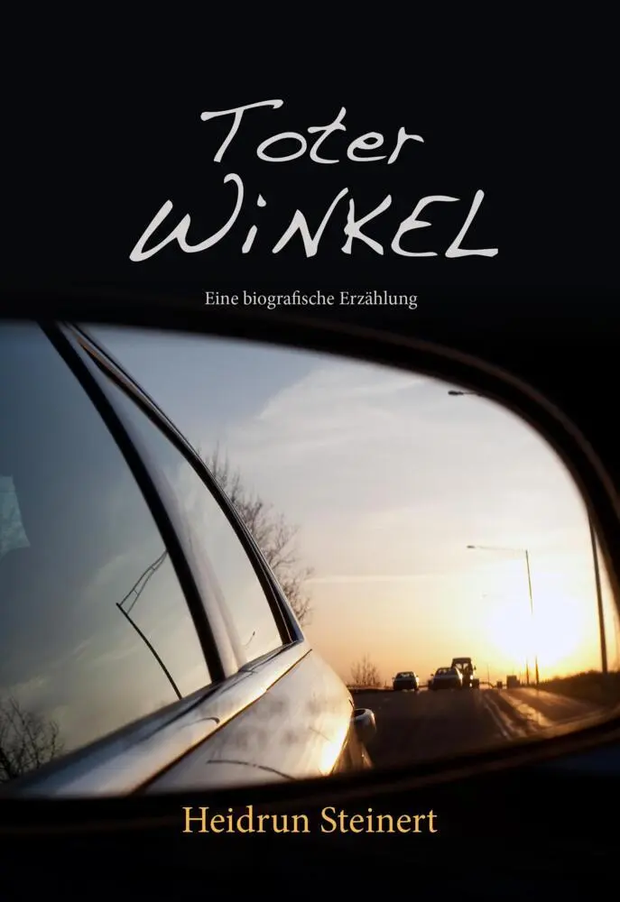 Cover: 9783038307303 | Toter Winkel | Heidrun Steinert | Taschenbuch | Deutsch | 2021
