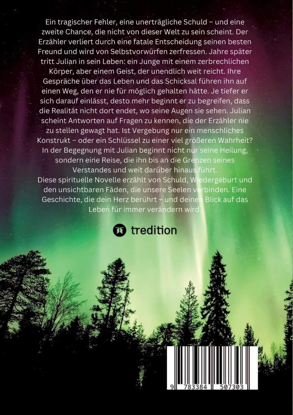 Rückseite: 9783384507303 | Julian, mein Lehrer | Zeit für Heilung | Aron B. Wake | Taschenbuch