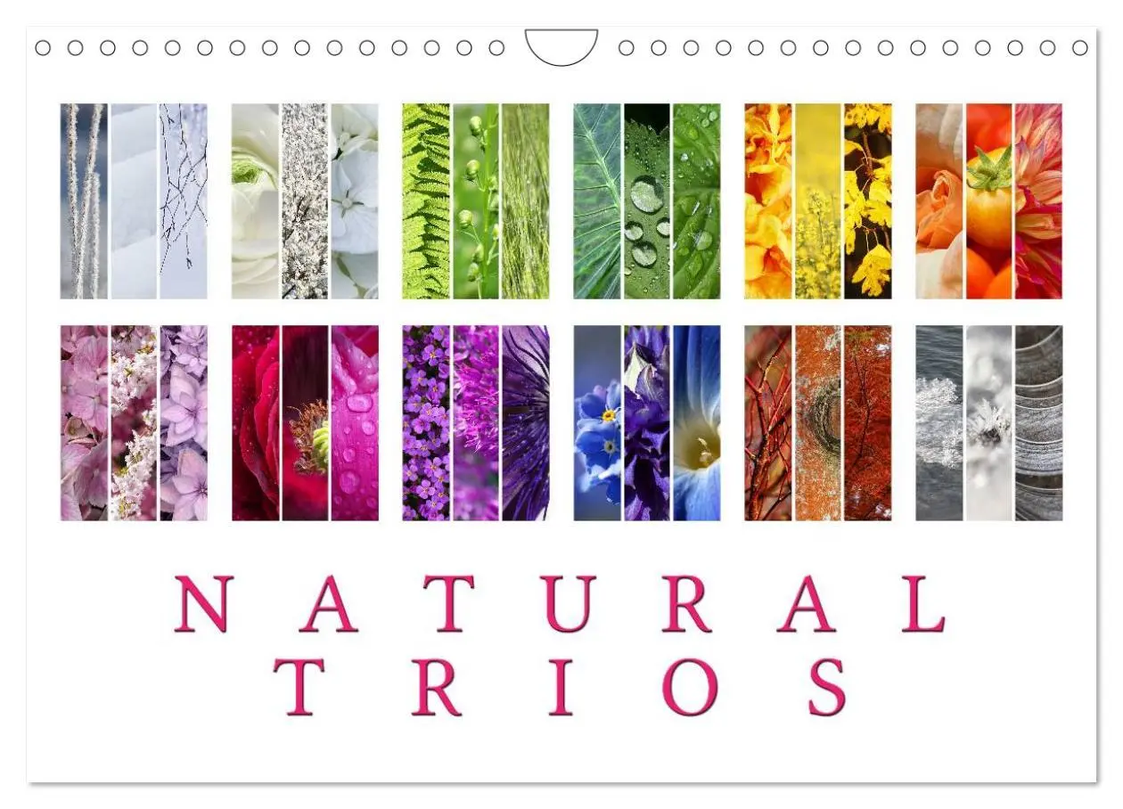 Cover: 9783516577303 | Natural Trios (Wall Calendar 2026 DIN A4 landscape), CALVENDO 12...