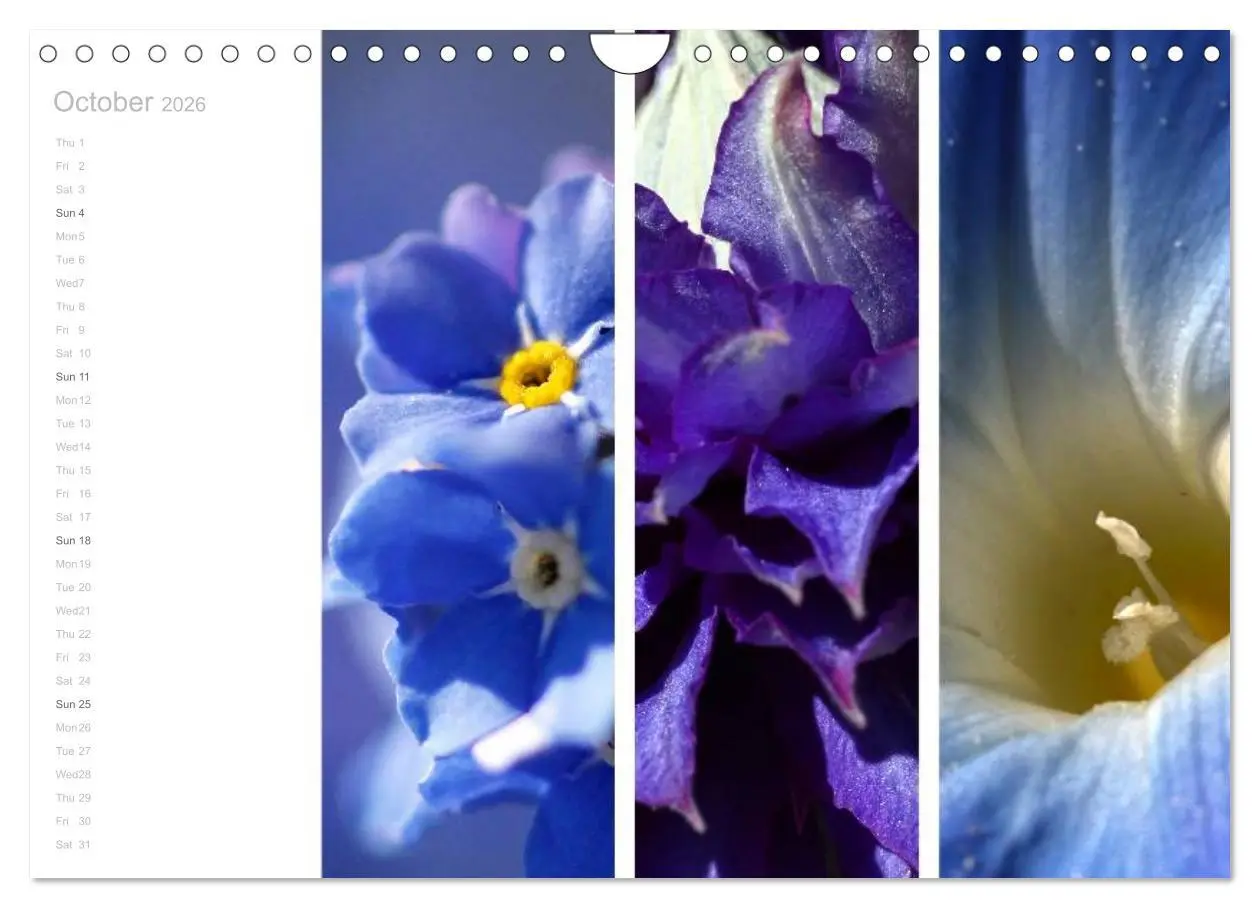 Bild: 9783516577303 | Natural Trios (Wall Calendar 2026 DIN A4 landscape), CALVENDO 12...