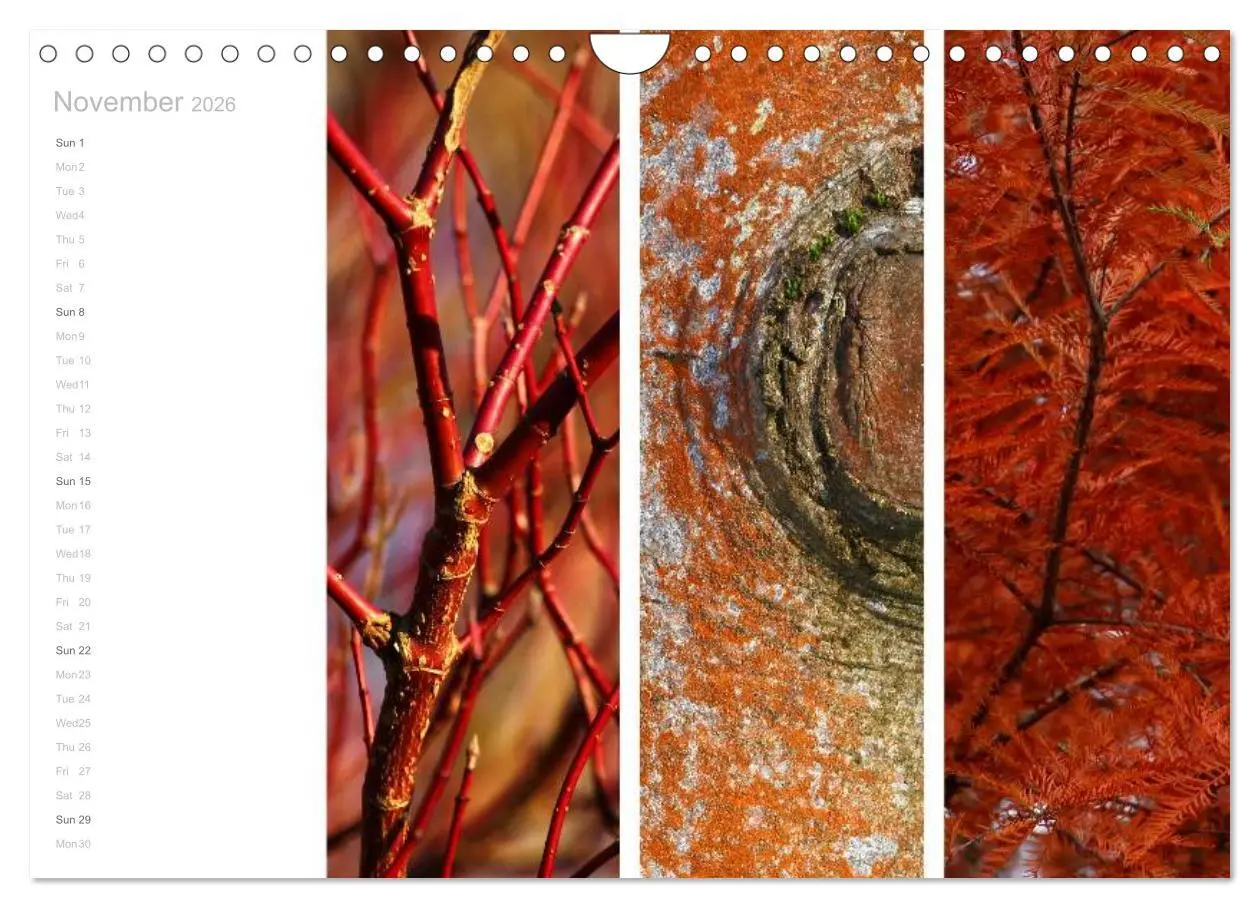Bild: 9783516577303 | Natural Trios (Wall Calendar 2026 DIN A4 landscape), CALVENDO 12...