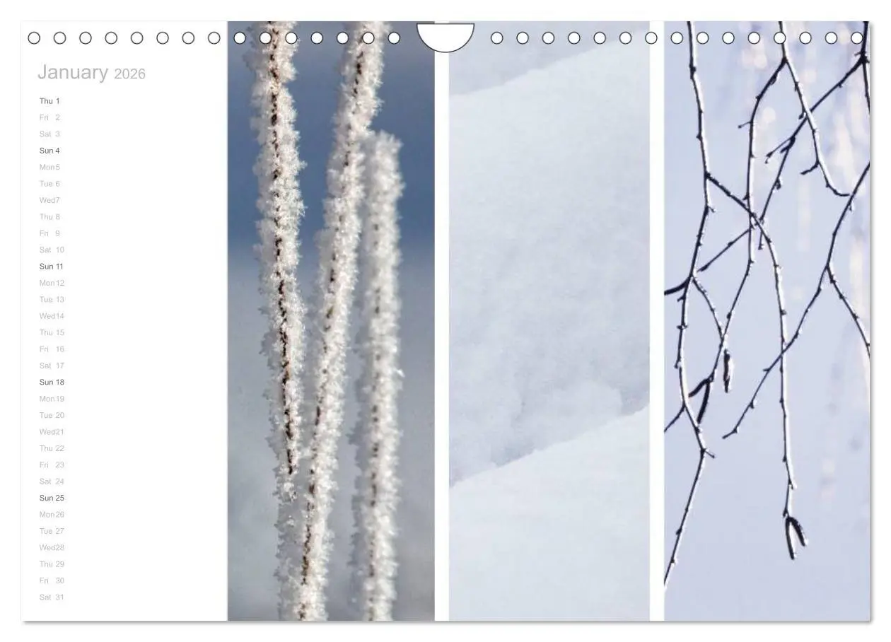 Bild: 9783516577303 | Natural Trios (Wall Calendar 2026 DIN A4 landscape), CALVENDO 12...