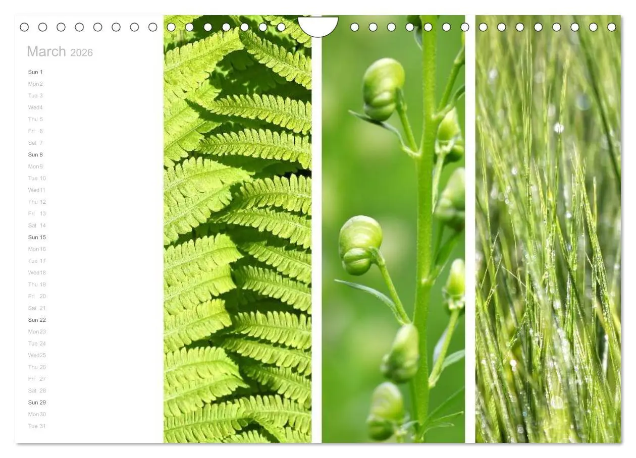 Bild: 9783516577303 | Natural Trios (Wall Calendar 2026 DIN A4 landscape), CALVENDO 12...