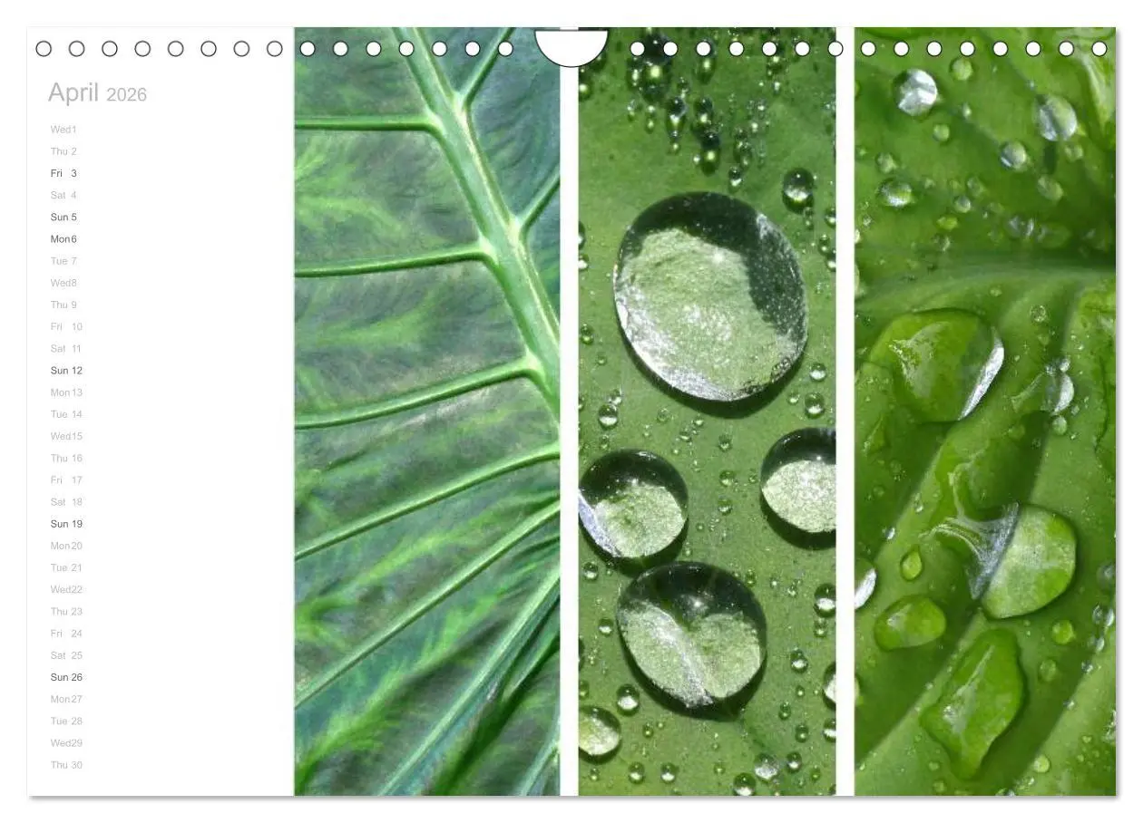 Bild: 9783516577303 | Natural Trios (Wall Calendar 2026 DIN A4 landscape), CALVENDO 12...