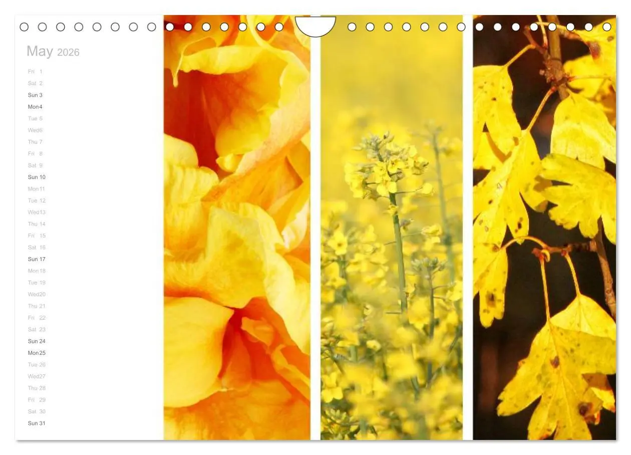 Bild: 9783516577303 | Natural Trios (Wall Calendar 2026 DIN A4 landscape), CALVENDO 12...