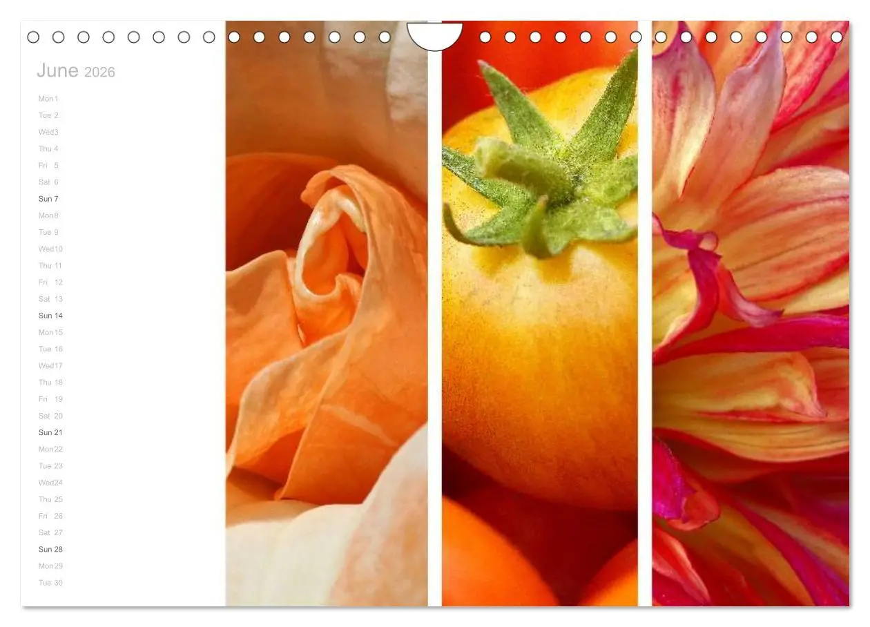 Bild: 9783516577303 | Natural Trios (Wall Calendar 2026 DIN A4 landscape), CALVENDO 12...