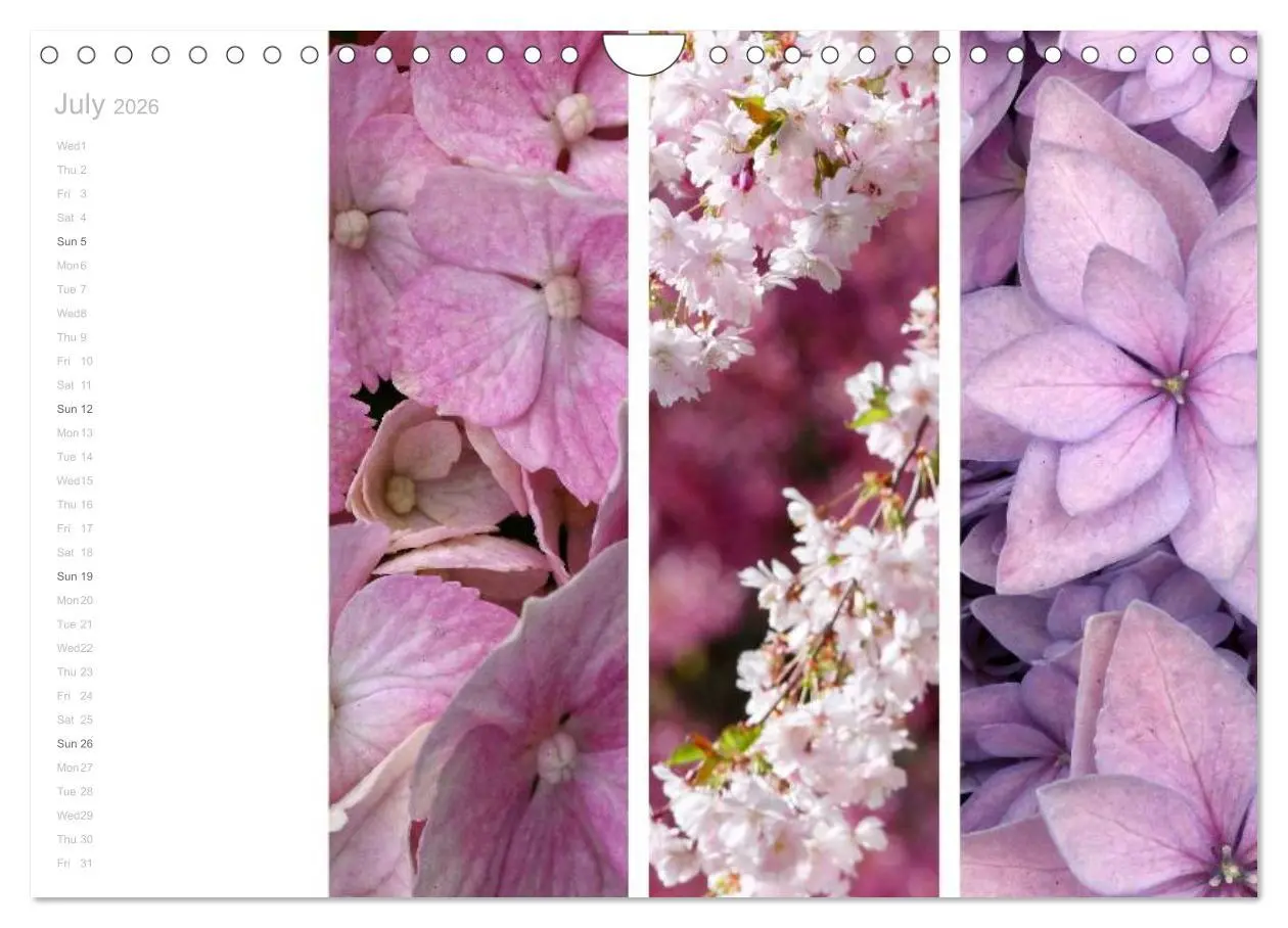 Bild: 9783516577303 | Natural Trios (Wall Calendar 2026 DIN A4 landscape), CALVENDO 12...