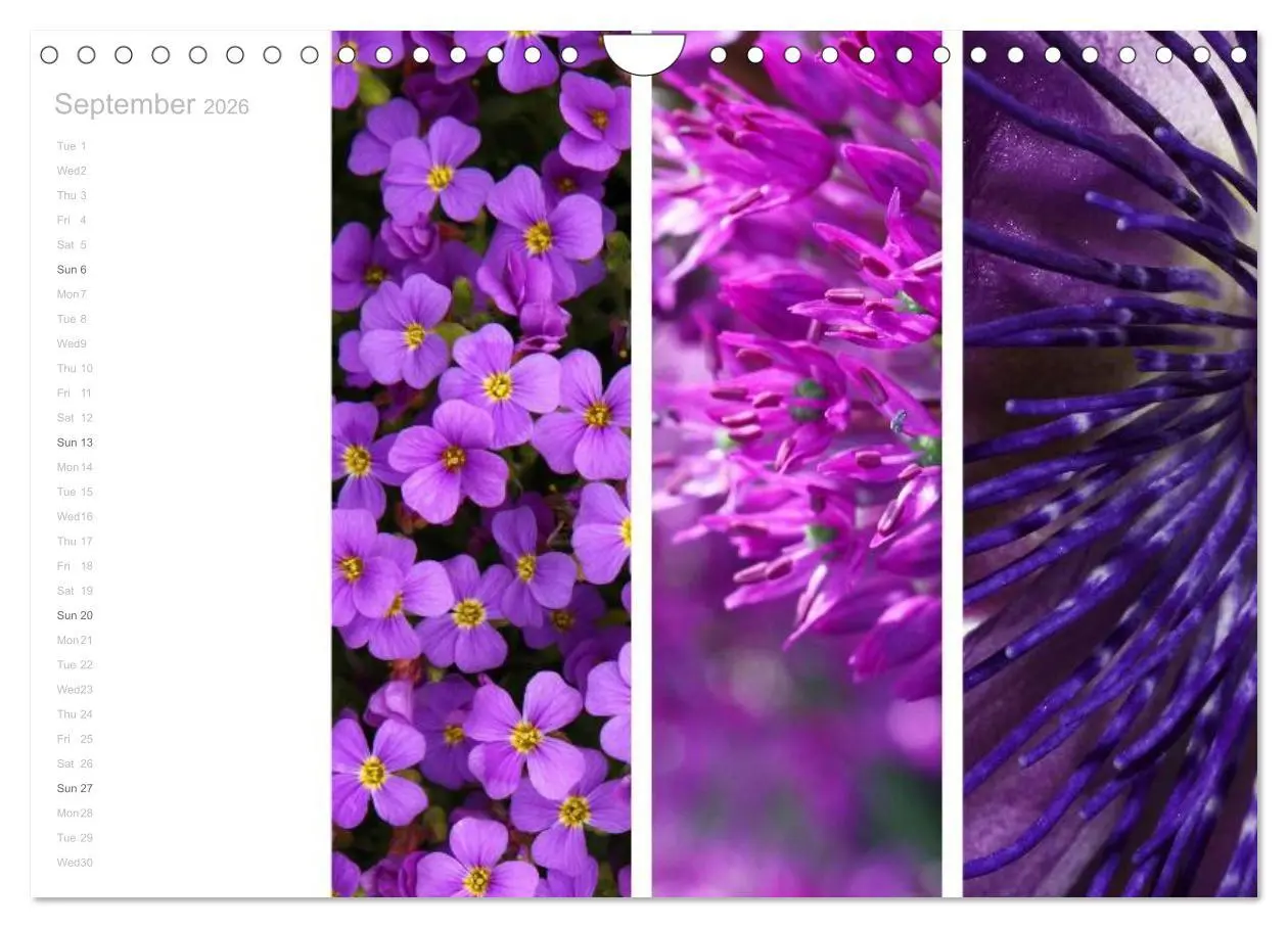 Bild: 9783516577303 | Natural Trios (Wall Calendar 2026 DIN A4 landscape), CALVENDO 12...
