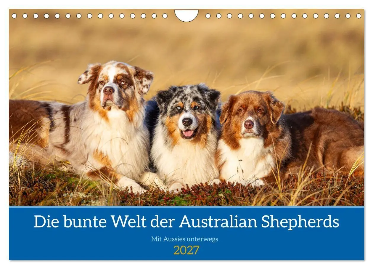 Cover: 9783594177303 | Mit Aussies unterwegs - Die bunte Welt der Australian Shepherds...