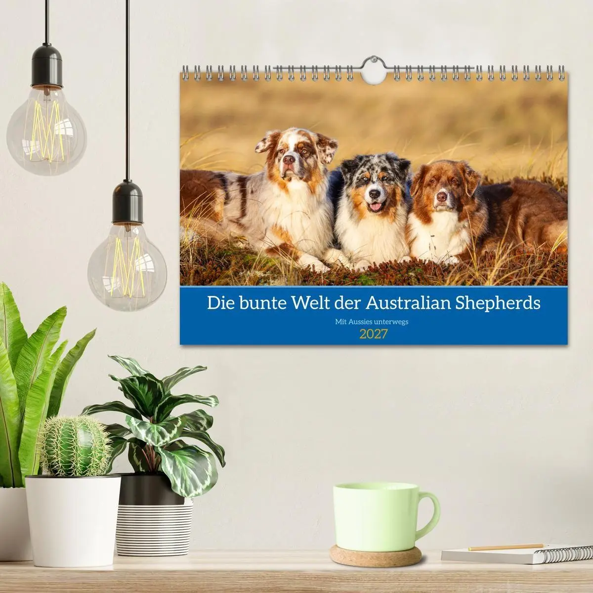 Bild: 9783594177303 | Mit Aussies unterwegs - Die bunte Welt der Australian Shepherds...