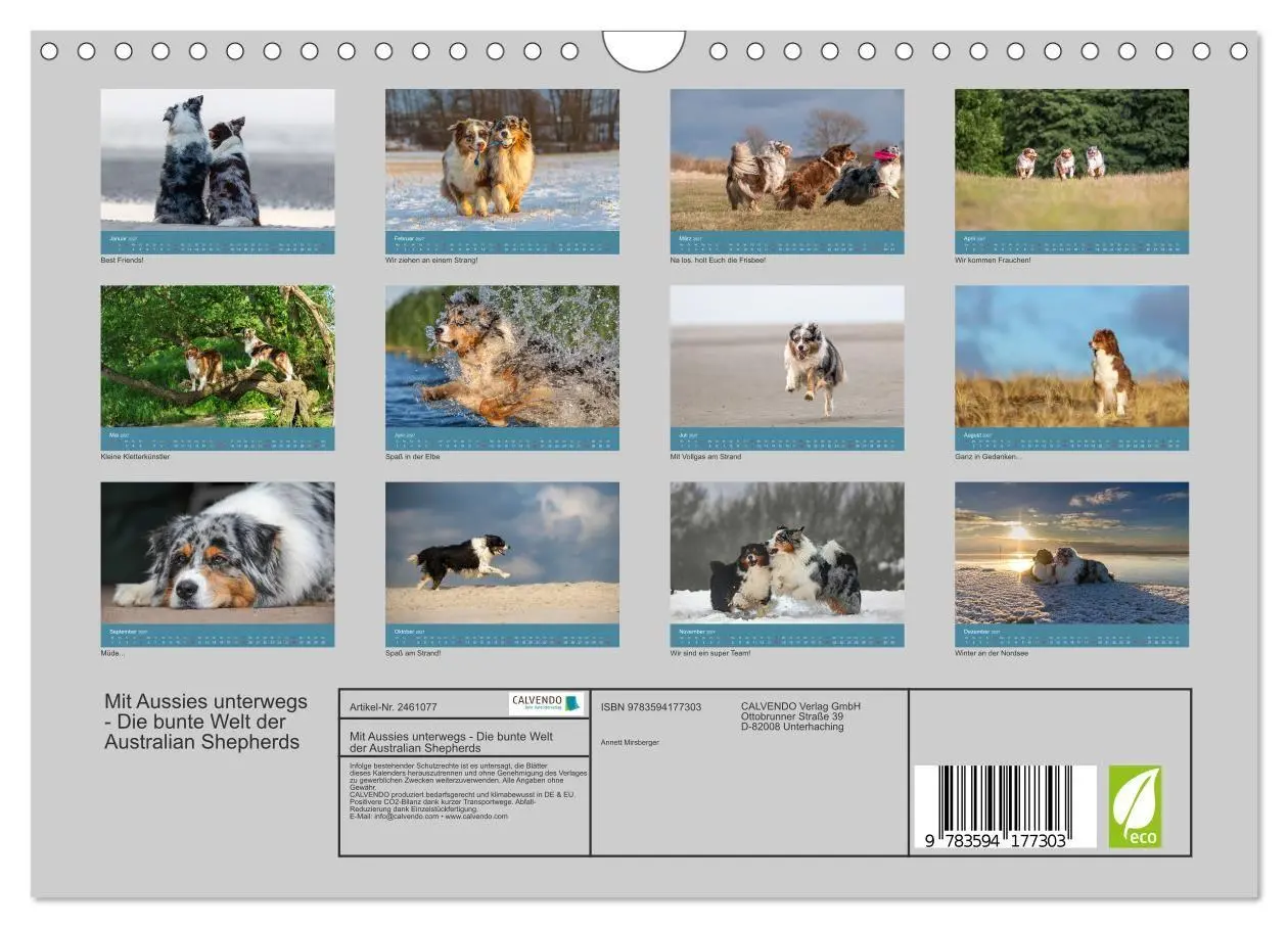 Bild: 9783594177303 | Mit Aussies unterwegs - Die bunte Welt der Australian Shepherds...