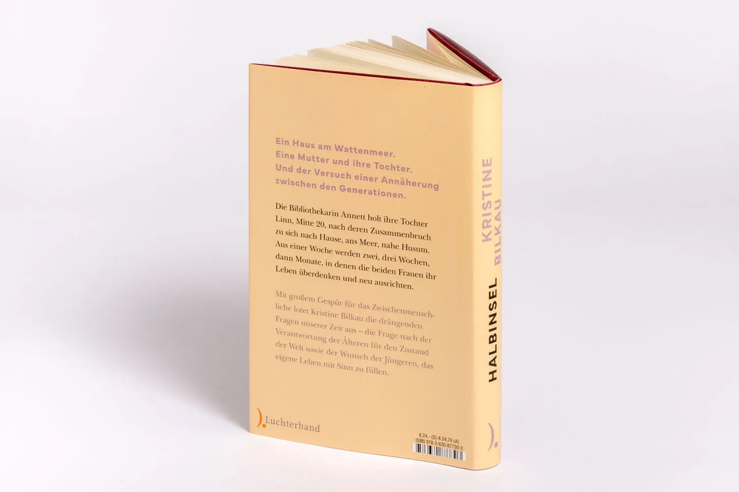 Bild: 9783630877303 | Halbinsel | Kristine Bilkau | Buch | 224 S. | Deutsch | 2025