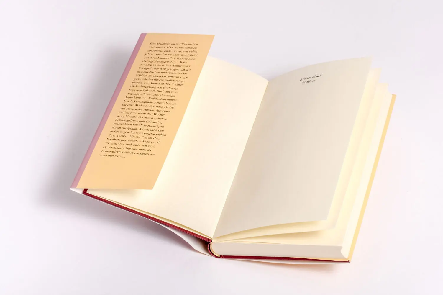 Bild: 9783630877303 | Halbinsel | Kristine Bilkau | Buch | 224 S. | Deutsch | 2025