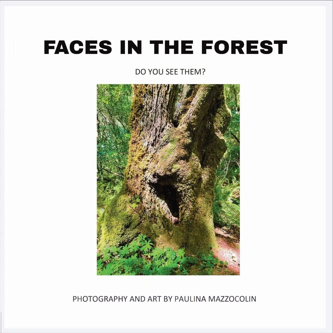 Cover: 9798999127303 | Faces in the Forest | Do you see them? | Paulina Mazzocolin | Buch