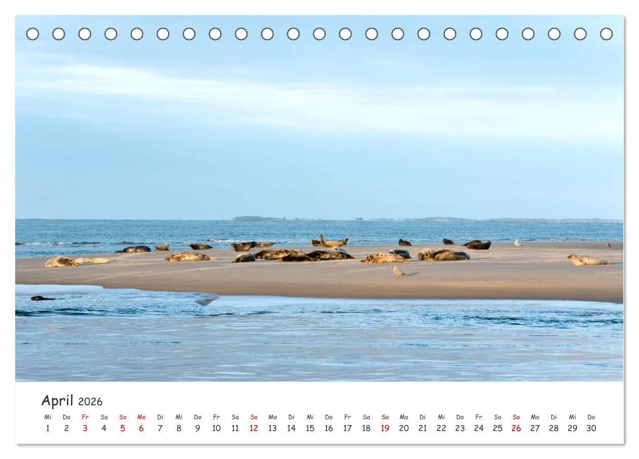 Bild: 9783457617403 | Borkum: Streifzüge über die Nordseeinsel (Tischkalender 2026 DIN A5...