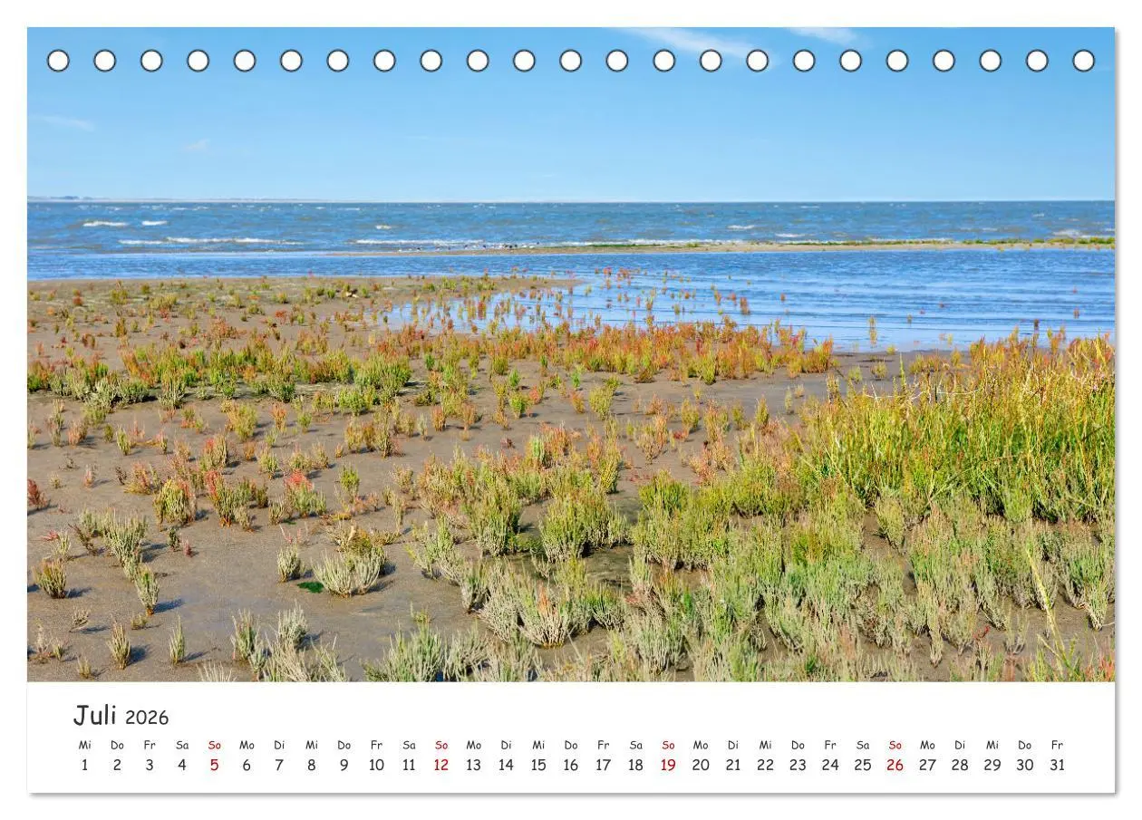 Bild: 9783457617403 | Borkum: Streifzüge über die Nordseeinsel (Tischkalender 2026 DIN A5...
