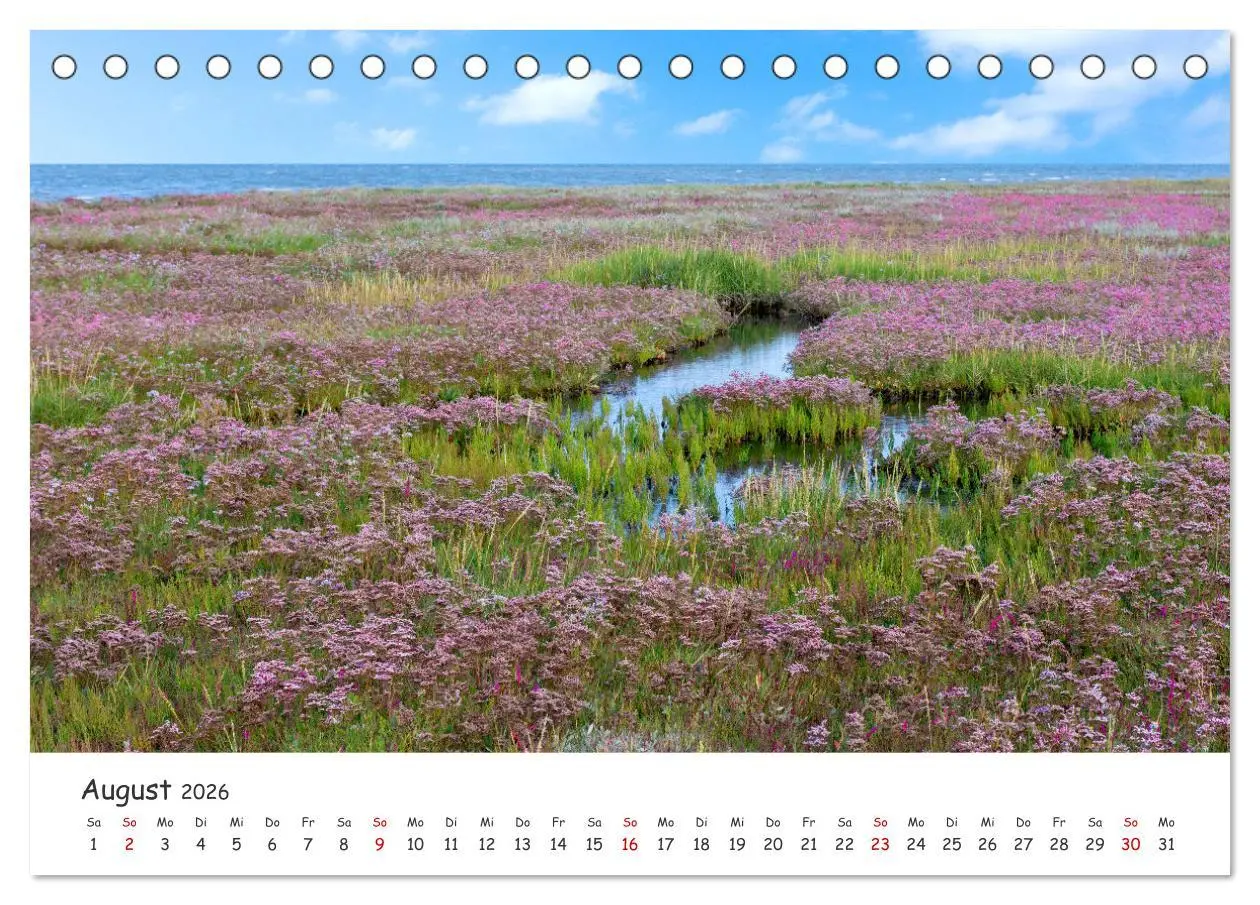 Bild: 9783457617403 | Borkum: Streifzüge über die Nordseeinsel (Tischkalender 2026 DIN A5...