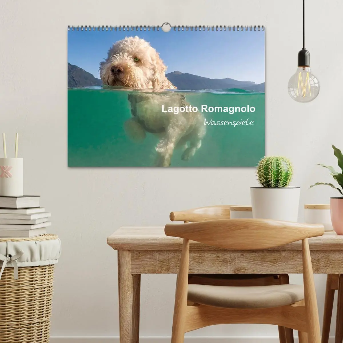 Bild: 9783457777503 | Lagotto Romagnolo - Wasserspiele (Wandkalender 2026 DIN A3 quer),...