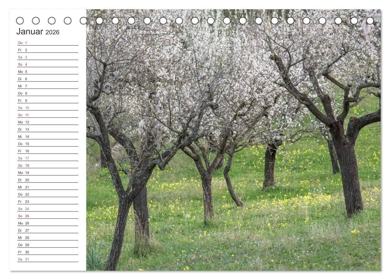 Bild: 9783516007503 | Emotionale Momente: Mandeln (Tischkalender 2026 DIN A5 quer),...