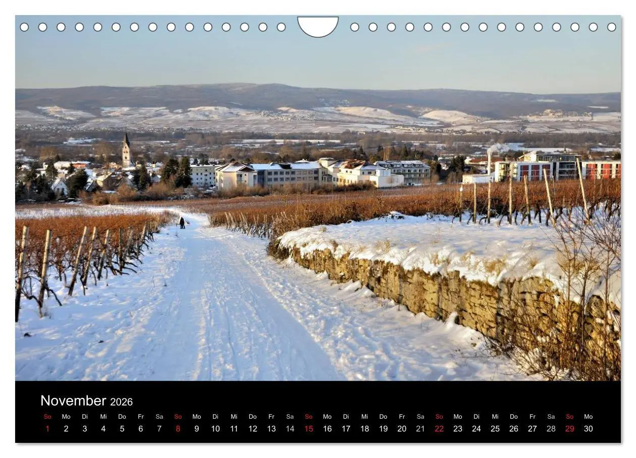 Bild: 9783516157703 | Ingelheim und Umgebung (Wandkalender 2026 DIN A4 quer), CALVENDO...